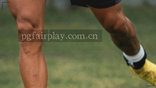 书页边缘被拇指摩挲得微微卷起，通讯录上横线细密如五线谱。